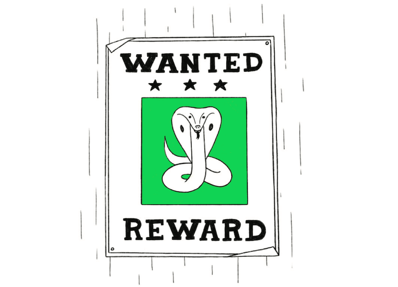 Cobra Effect