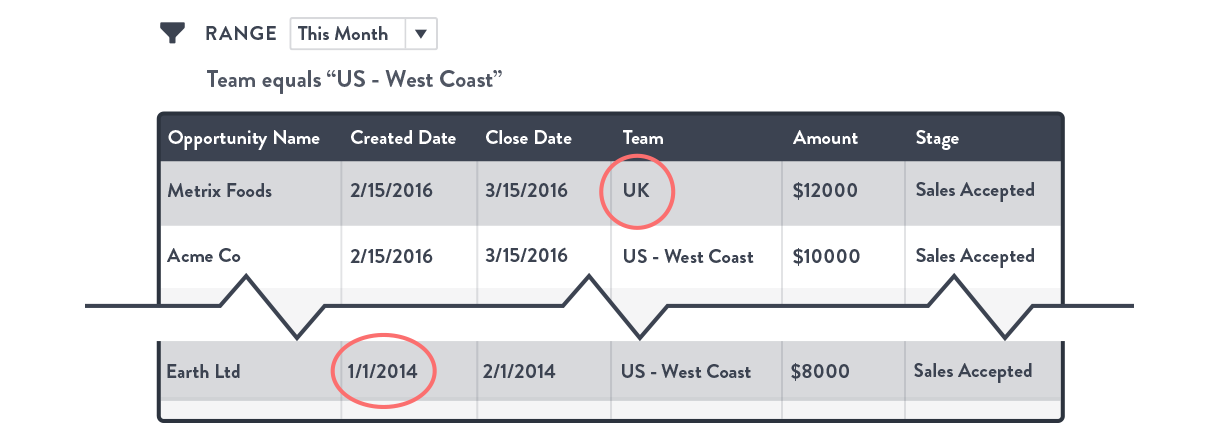 filtered-report-salesforce-reporting