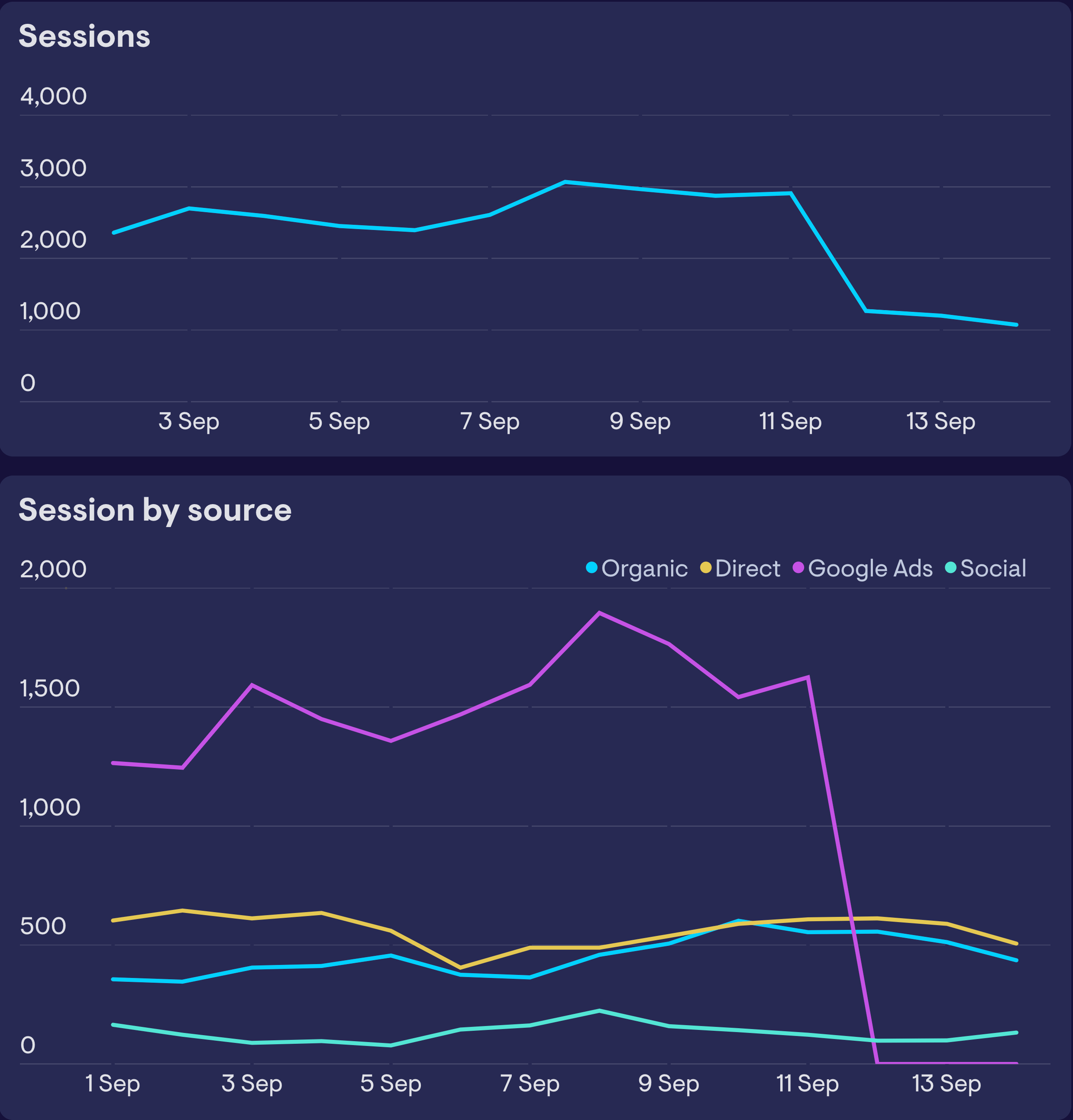 Two line charts: one is segmenting session data by source and shows a dip in Google Ads traffic.