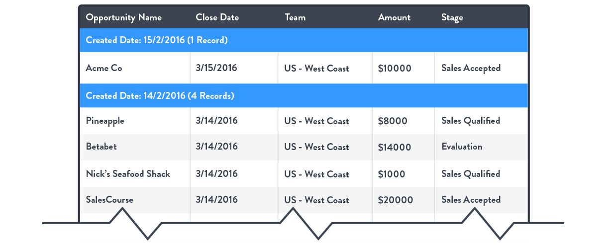 summary-format-salesforce-reporting