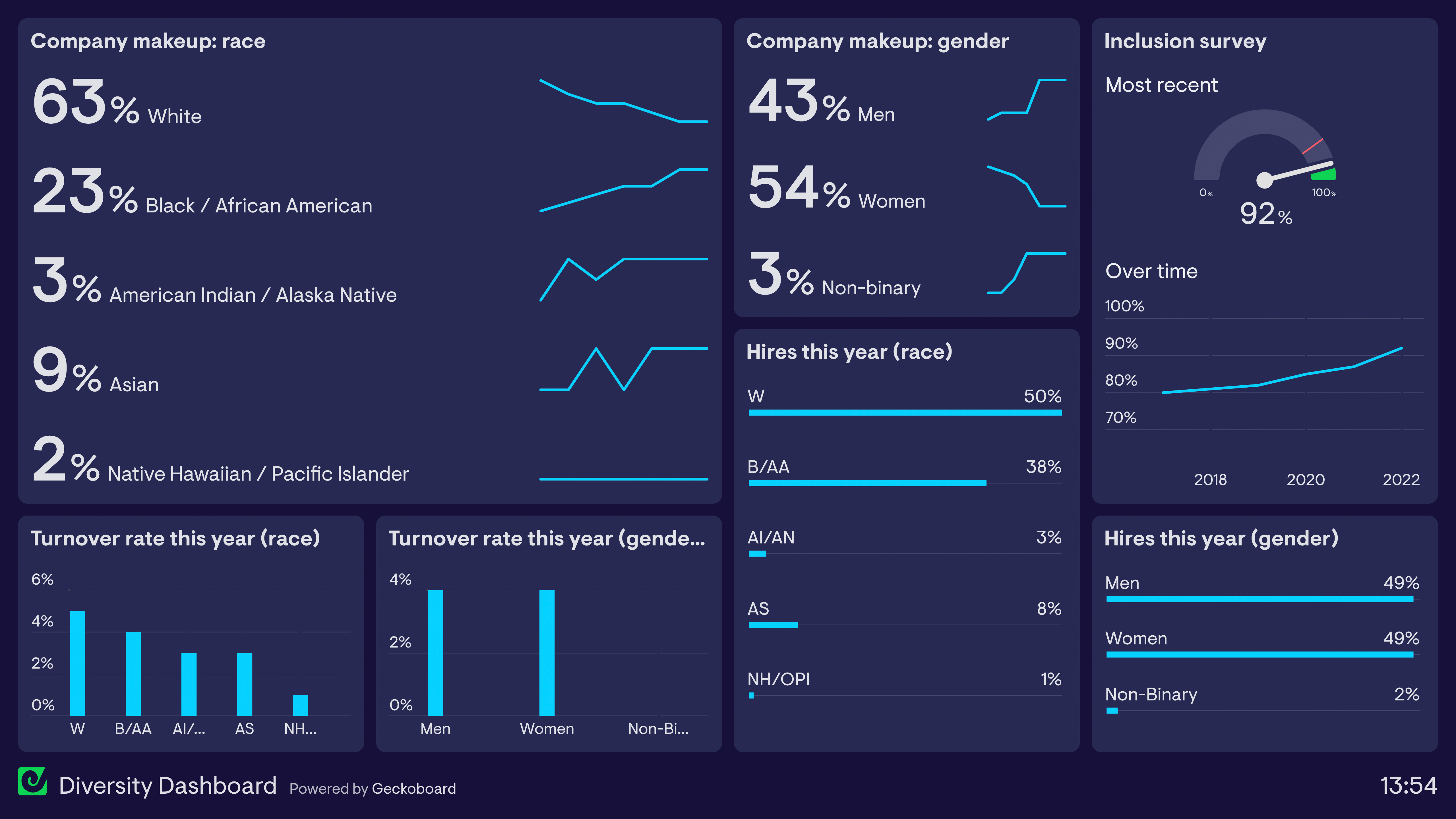 Example of a dashboard used by a HR team to track company diversity