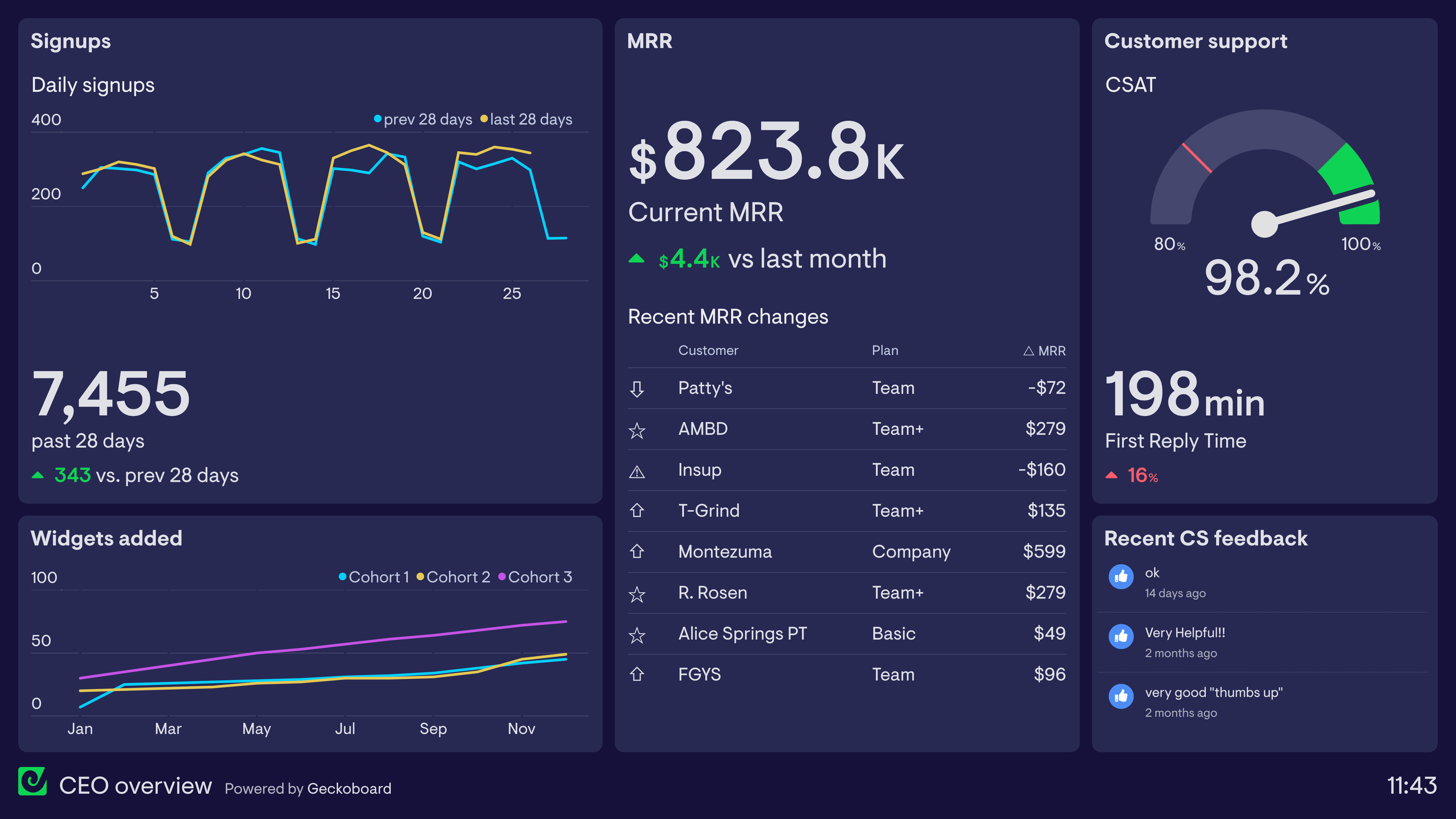 Example of a dashboard used by a CEO dashboard used to understand their business from the customer perspective. 